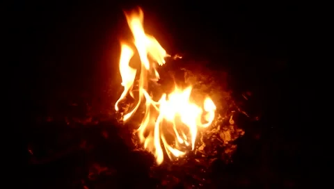 Budget smartphone Video stock 205567007