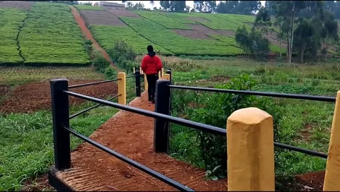 	budget smartphone Video stock 207106913