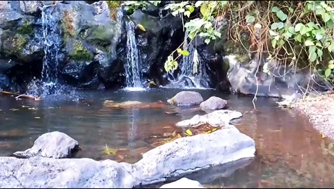 Budget smartphone Video stock 208954073