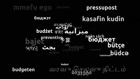 Budget Translated in 54 Worldwide Languages Endless Looping 3d Zooming Wordcl Video stock 145206402