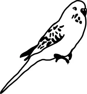 Budgie sitting Stock Illustration