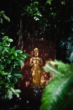 Budha Stock Photos