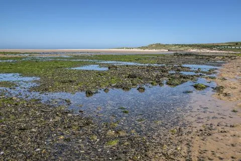 Budle Bay Fotos Stock