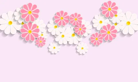 Buds of daisies on a pink background Stock Illustration