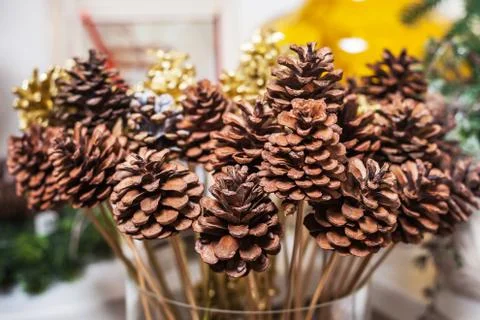 Buds in a vase. interior decor Stock Photos