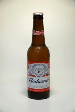 Budweiser beer bottle. White backdrop Фото