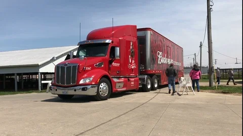 Budweiser Clydesdale horse semi tractor ... | Stock Video | Pond5