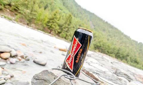Budweiser India Stock Photos