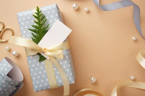 Bue polka dot gift box with a cream bow, cedar branch, and blank tag on a bei Stock Photos