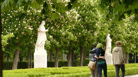 The Buen Retiro Park -2 스톡 동영상 80161552