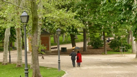 The Buen Retiro Park -9 스톡 동영상 80196784