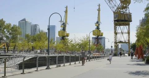 Buenos Aires Cranes Scene 4 Stock Footage 109679826