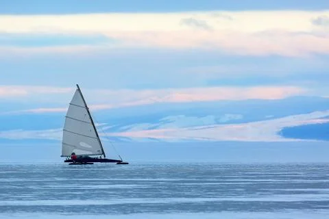 Buer on ice at sunset Stock Photos