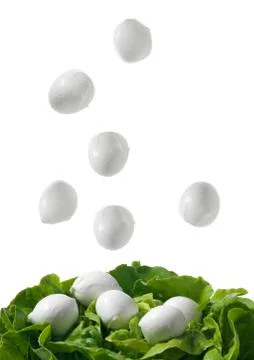 Bufala mozzarella falling on salad Stock Photos