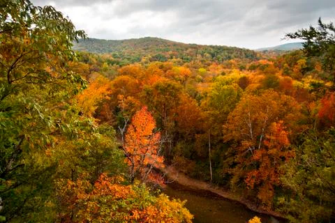 Bufallo river in the autumn Foto stock