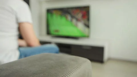 Buff goes to sofa and picks up remote control, fan sits on couch and watches Video stock 156948392