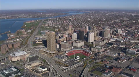 Buffalo aerial Stock Footage 65425203