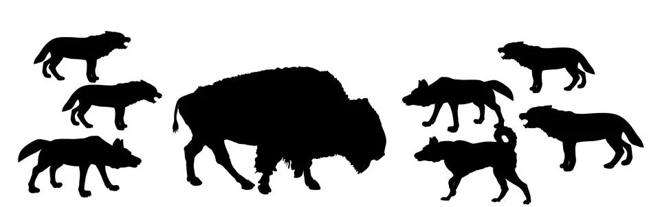 Buffalo against wolf pack vector silhouette illustration isolated 库存插图