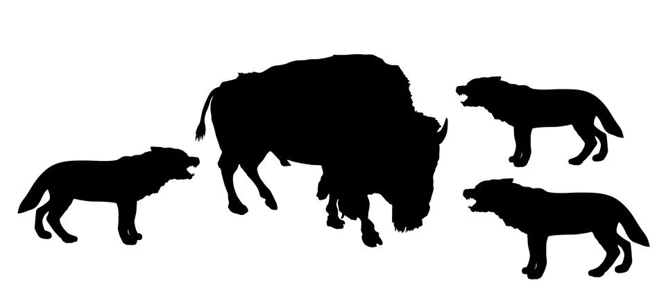 Buffalo against wolf pack vector silhouette illustration 库存插图