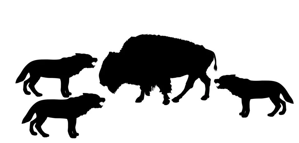 Buffalo against wolf pack vector silhouette illustration 库存插图