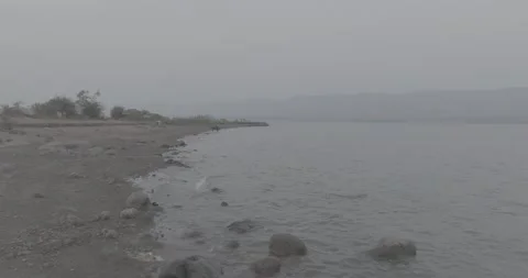 Buffalo Bathing Vidéo 233282303