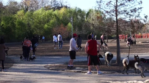 Buffalo Bayou Park 스톡 동영상 132016235