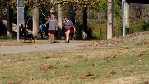 Buffalo Bayou Park 스톡 동영상 132016605