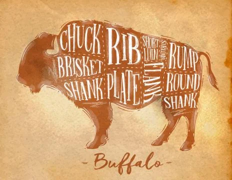 Buffalo cutting scheme craft Stock Illustration