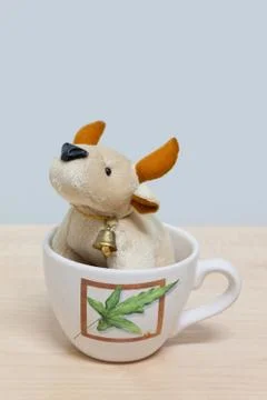 Buffalo doll in coffee cup Stock Photos