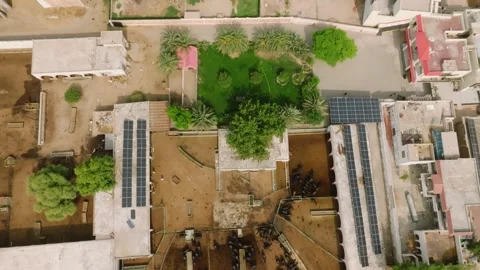 Buffalo Farm Compound Seen From Directly Above Stock Footage 346635344