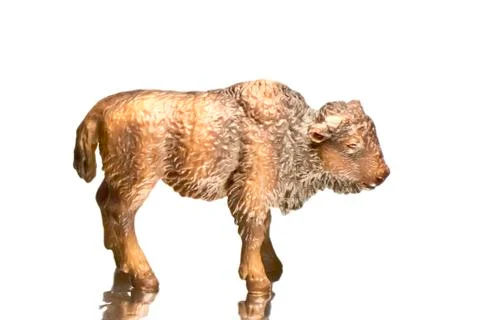 Buffalo Figurine Stock Photos