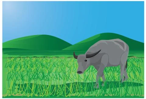 Buffalo in grass field vector design Stock Illustration