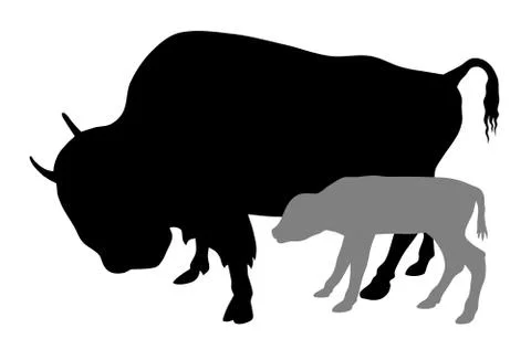 Buffalo Stock Illustration