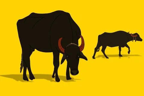 Buffalo Illustrazione stock