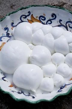 Buffalo mozzarella Stock Photos