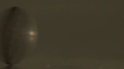 Buffalo Nickel Spin 720 Stock-Footage 504624