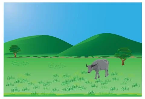 Buffalo in paddy field vector design Stock Illustration