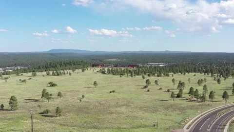 Buffalo Park Vídeos de archivo 131819394