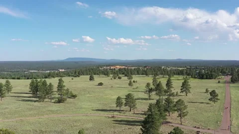 Buffalo Park Vídeos de archivo 131819485