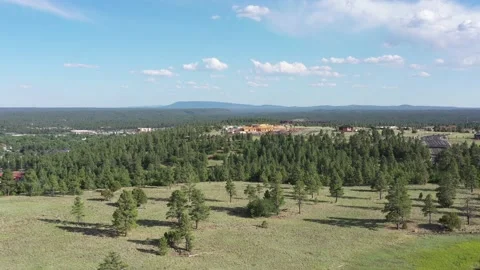 Buffalo park Vídeos de archivo 131819572