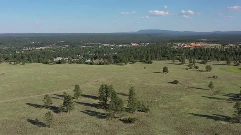 Buffalo Park Vídeos de archivo 131819783
