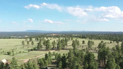 Buffalo Park Vídeos de archivo 131819833