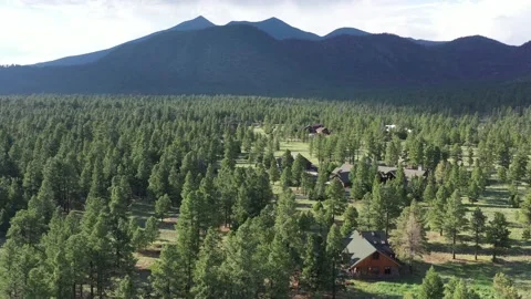 Buffalo Park Vídeos de archivo 131819899