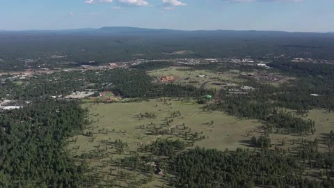 Buffalo Park Vídeos de archivo 131820295