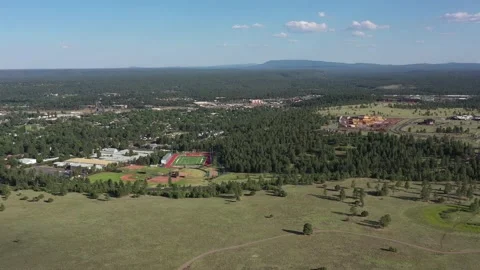 Buffalo Park Vídeos de archivo 131820579