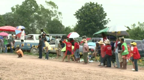 Buffalo racing 3 Stock Footage 484620