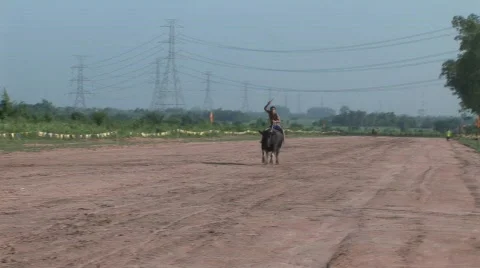 Buffalo rider training 23 Stock Footage 488035