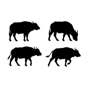 Buffalo Silhouette Vector Illustration Bundle Isolated on White Background Stock-Illustration