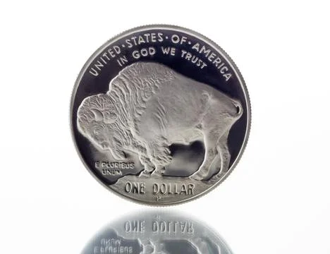 Buffalo silver dollar with reflection on white Stock Photos
