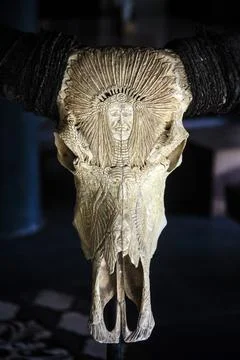 Buffalo skull with carved pattern, Sumba island, Indonesia Stock Photos